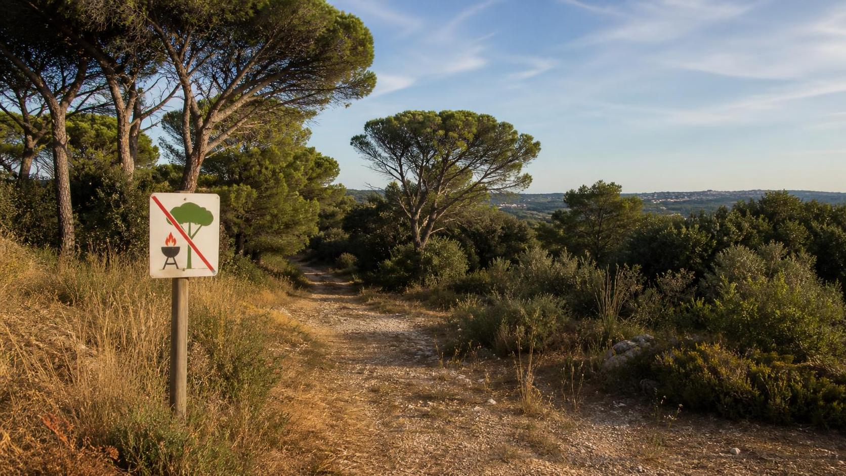 Vigilance feux de forêt dans l’Hérault : ce que les Montpelliérains doivent savoir