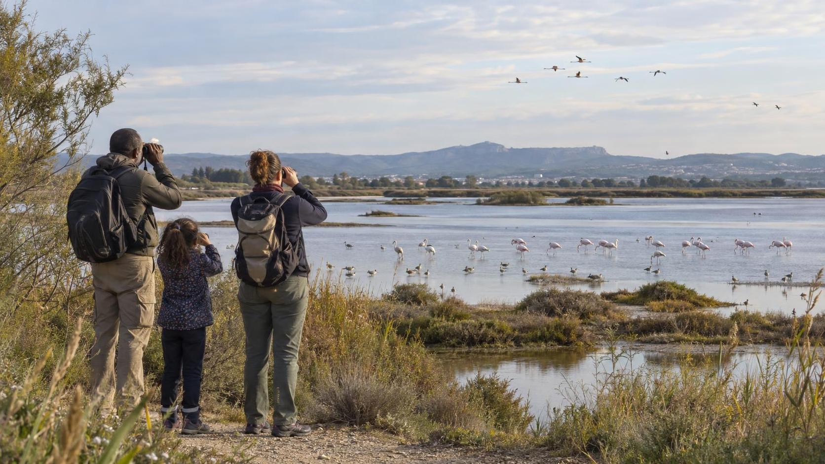 Oiseaux migrateurs : le 10 octobre, une observation peut relier les deux rives